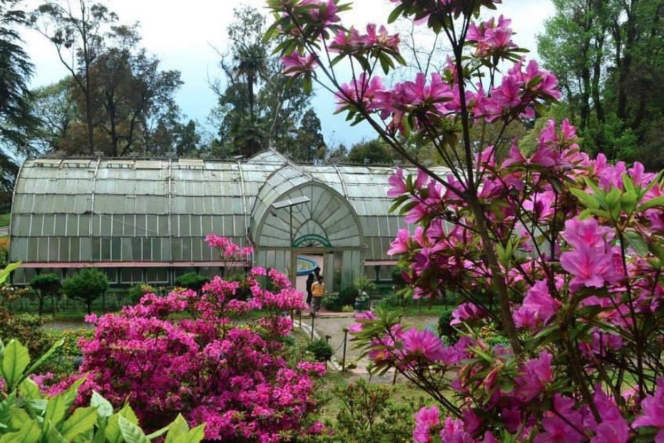 Lloyd Botanical Garden , , India